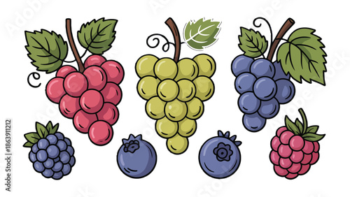 Grape and Berry Collection: a vibrant illustration showcasing a collection of juicy grapes and berries, each bursting with natural color and flavor.
