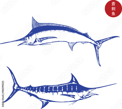 Blue marlin fish vector, swordfish illustration, sport fishing logo, ocean predator graphic, big game fish art, seafood emblem, nautical vintage design, marine life drawing.