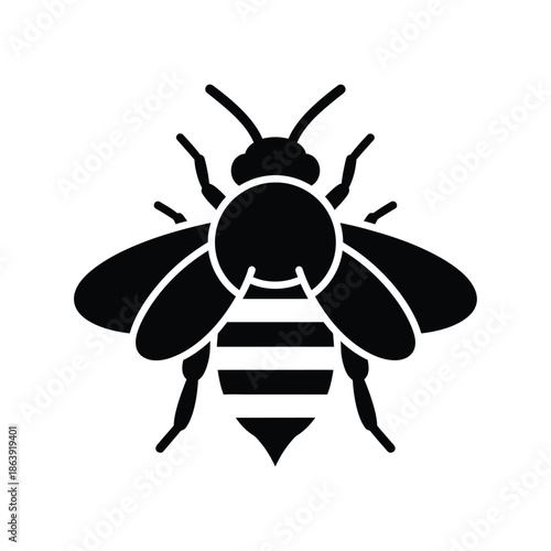 a striking black and white illustration depicts a single bee with clearly defined wings and body segments showcasing its anatomy