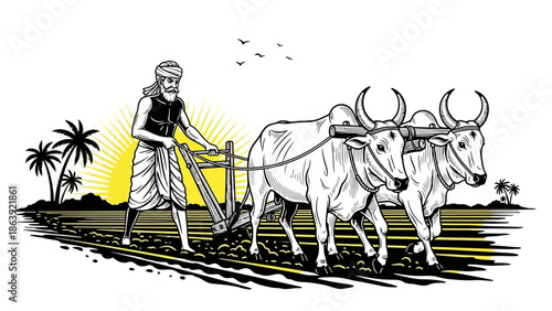 Traditional farmer plowing field with oxen at sunrise