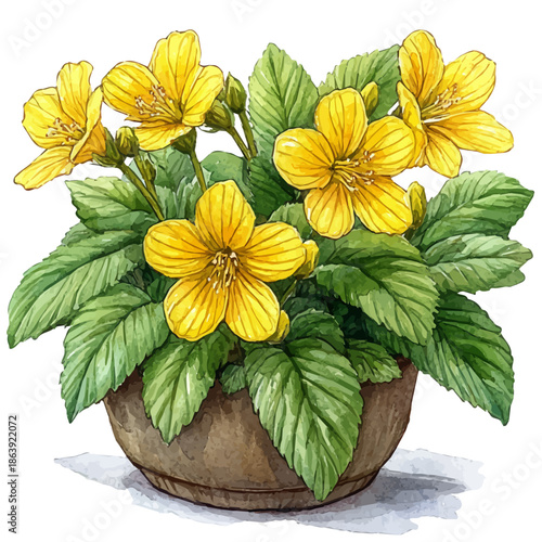 watercolor vector of A Yellow Archangel In A Vase, isolated on a white background.