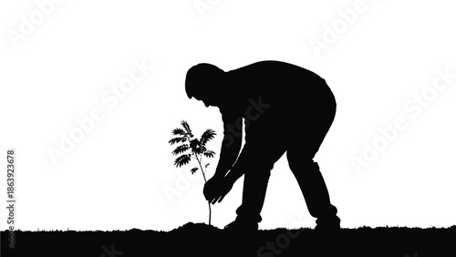 Silhouette of a person carefully planting a small tree sapling into the earth outdoors