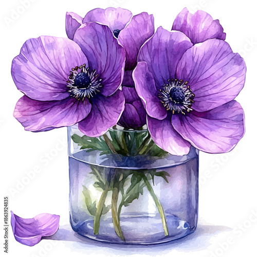 A Wood Anemone In A Vase, watercolor clipart vector, isolated on a white background.