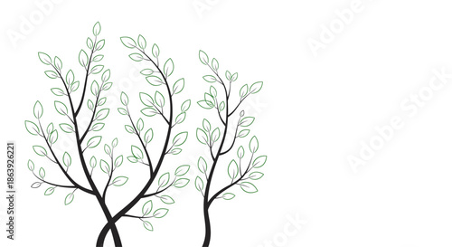 Elegant illustration of green leafy branches growing upwards creates a fresh and natural decorative element against a plain white background.
