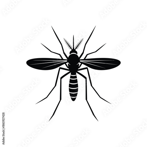 A minimalistic black and white depiction of a mosquito showcasing its slender legs delicate wings and segmented body structure