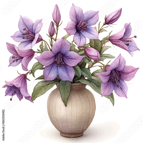 A Wild Bergamot In A Vase, watercolor drawing vector, isolated on a white background.