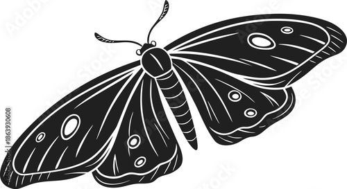 A detailed black and white illustration of a moth with intricate wing patterns and delicate antennae.