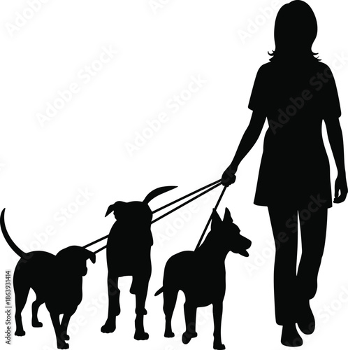 Dog walking silhouette, person with pets, leash control, outdoor activity, canine companionship, pet care, exercise routine, animal bond, lifestyle illustration, responsibility
