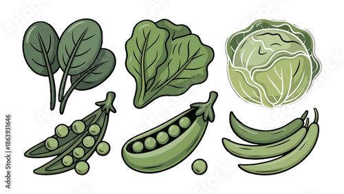 Fresh Greens: A vibrant collection of healthy green vegetables, meticulously arranged to showcase nature's bounty and culinary potential.