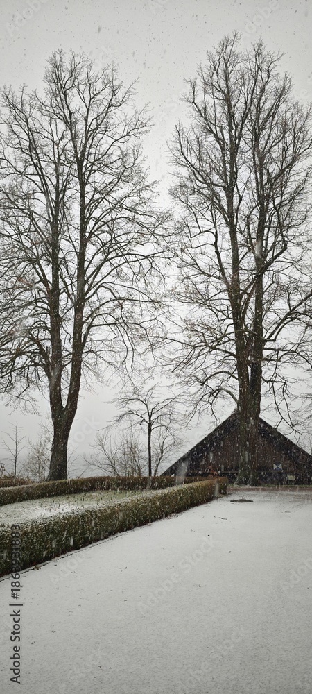 Obraz premium Schneeschauer in Ratzeburg Hochformat