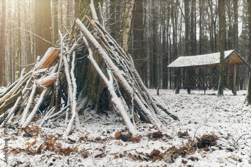 Wallpaper Mural A handmade lean-to shelter built from wooden branches against a tree trunk in a snow-covered deciduous forest. Torontodigital.ca