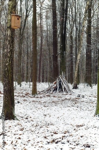 Wallpaper Mural A handmade lean-to shelter built from wooden branches against a tree trunk in a snow-covered deciduous forest. Torontodigital.ca