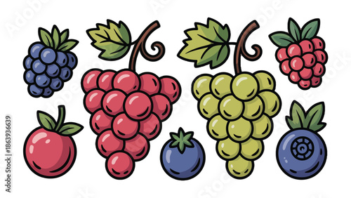 Assortment of Fruit: A collection of fresh, vibrant fruits, each bursting with natural sweetness and visual appeal, ready to enhance culinary creations and promote healthy living.