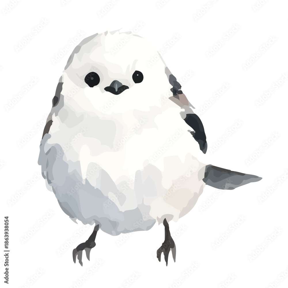 Obraz premium Watercolor-style long-tailed tit illustration／シマエナガ