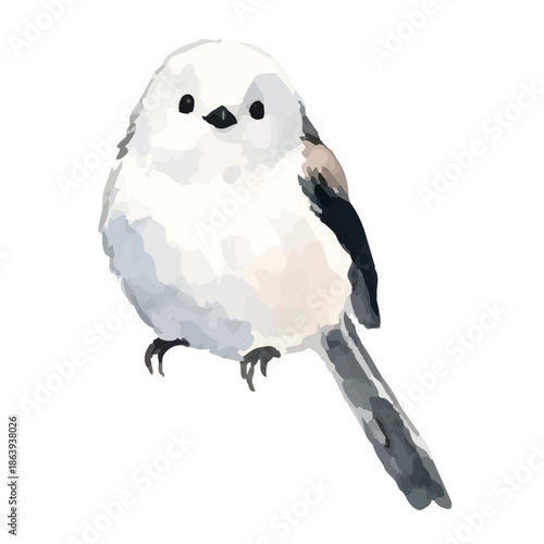 Watercolor-style long-tailed tit illustration／シマエナガ