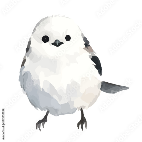 Watercolor-style long-tailed tit illustration／シマエナガ