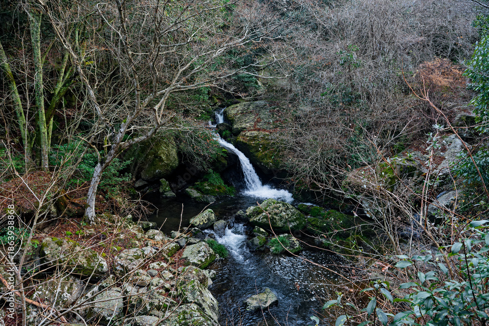 Fototapeta premium るり渓の鳴瀑
