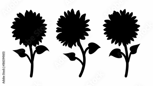 Three black silhouettes of sunflowers on white background