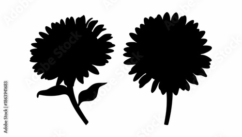 Elegant black silhouettes of sunflowers on white background