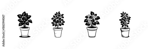 Potted Plants In Hand Drawn Style Set. Indoor Gardening, Home Decor, Botanical Illustration Doodle Sketch Collection. Plant Care And Greenery. Isolated Vector Illustration