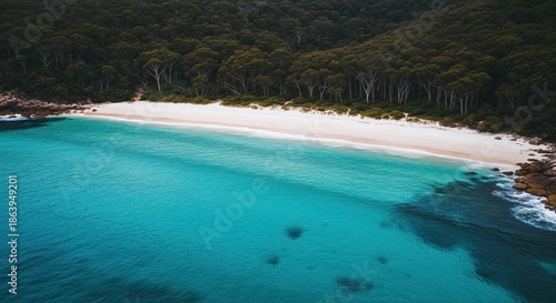 Aerial view of a secluded beach with turquoise water, white sand, and lush green forest