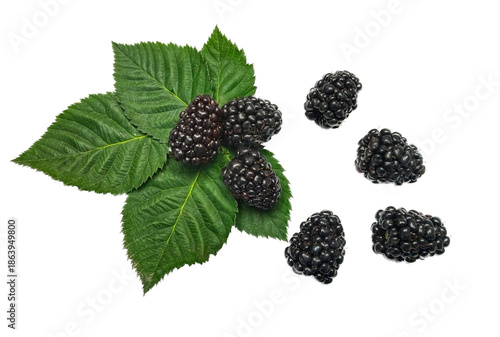 Freshly harvested blackberries with vibrant green leaves, showcasing nature's delicious bounty.