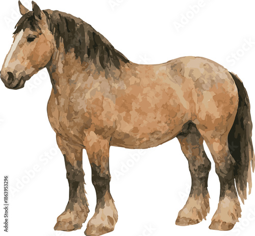 Vector adorable realistic watercolor illustration of a Percheron horse