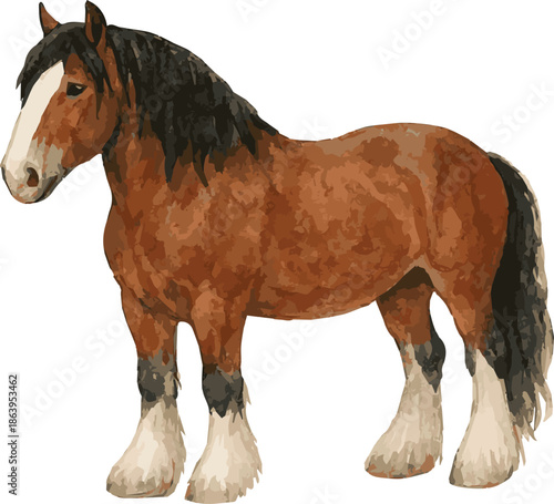 Vector adorable realistic watercolor illustration of a Shire horse