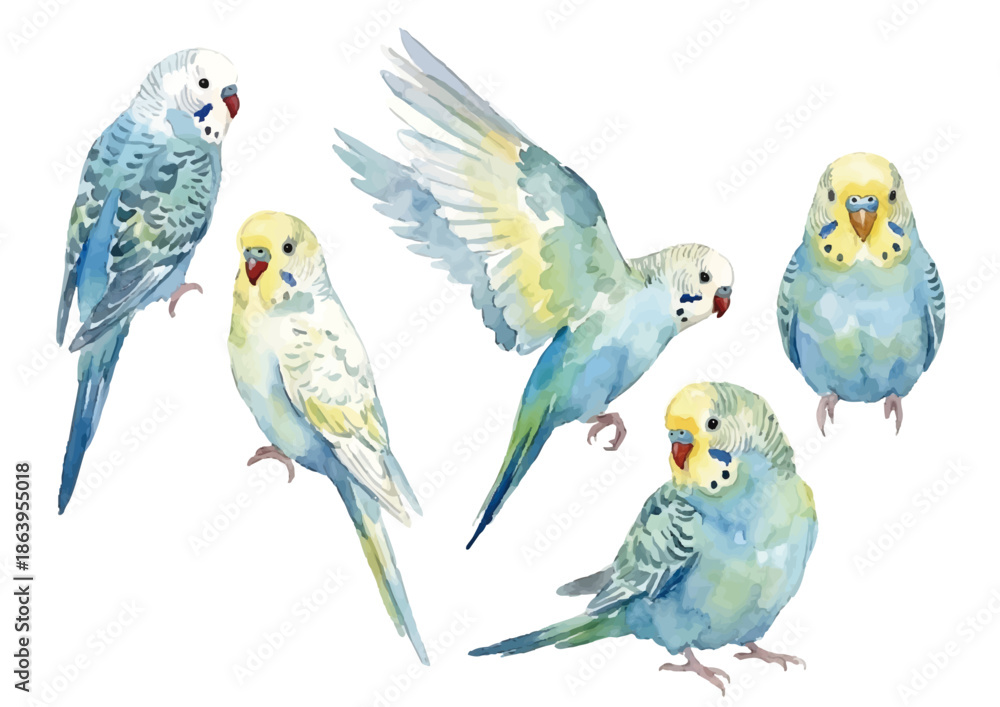 Naklejka premium Watercolor-style parrot illustration／インコ