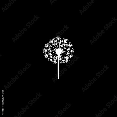 Simple white dandelion illustration with a black background, showing detail and delicate design.