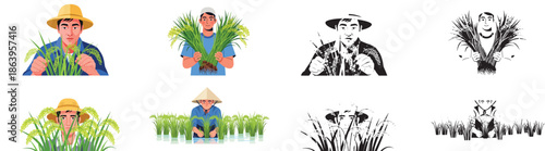 Rice farmers harvesting crop in paddy fields