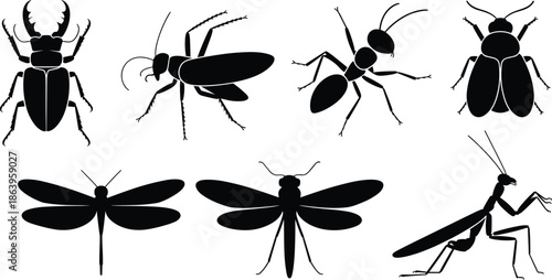 Set of detailed insect silhouettes featuring beetle ant cockroach dragonfly and praying mantis black vector illustration isolated collection