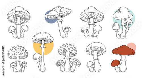 Collection of eight mushroom line art illustrations featuring different varieties and accented with colorful abstract circular shapes.