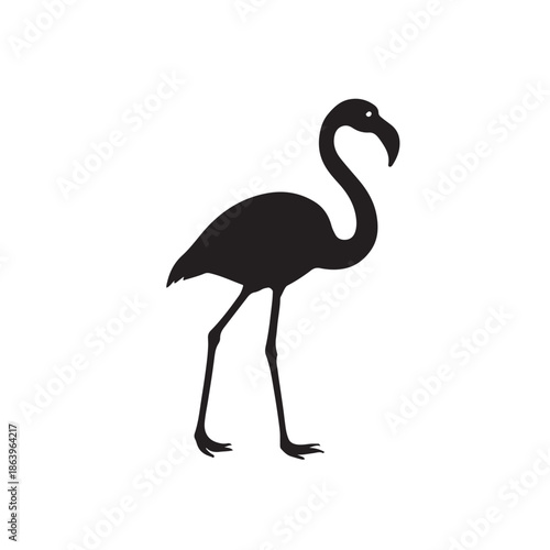 American Flamingo – Pink Tropical Wading Bird 