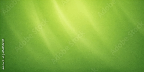 Green abstract background featuring a soft motion design with flowing light lines and a smooth wave pattern for a modern nature-inspired vector wallpaper