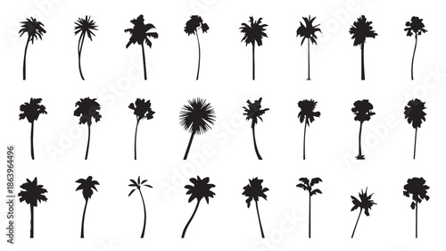 A collection of thirty diverse black and white palm tree silhouettes on a white background