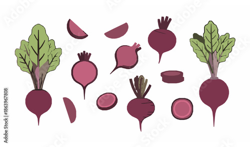 Minimal beetroot vegetable vector set with whole and sliced beets isolated on white background