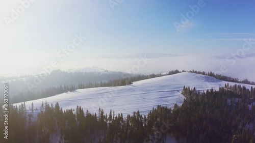 Wallpaper Mural Mountain slopes covered with lush Christmas trees and snow-white snow with a place for skiing Torontodigital.ca