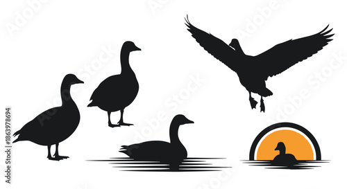 Silhouettes of wild geese in various poses including swimming and flying at sunset for a nature themed logo design.
