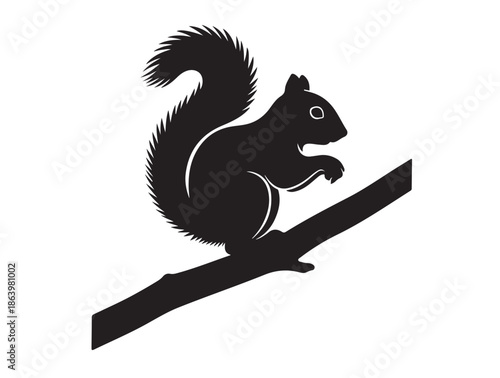  Eastern Gray Squirrel in silhouette white background.