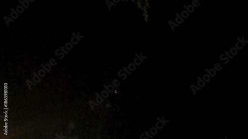 fireworks in the night sky