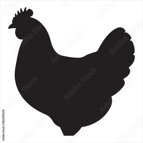 Chicken Vector 