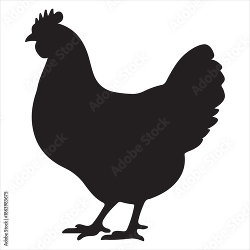 Chicken Vector 
