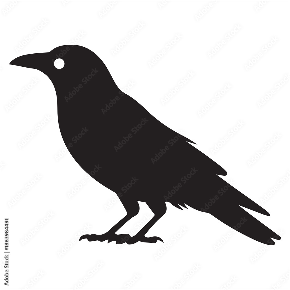 Fototapeta premium Crow Vector 