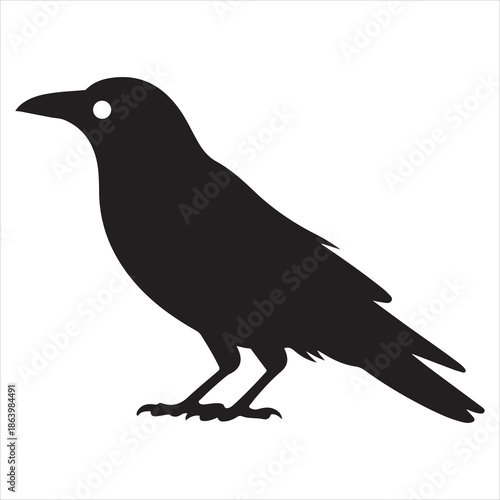 Crow Vector 
