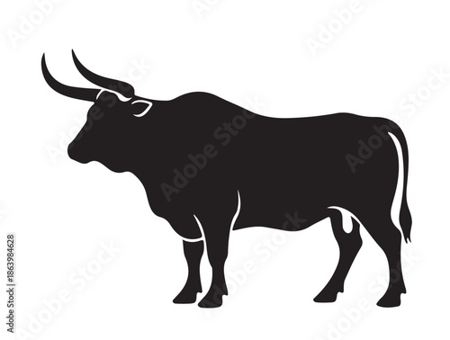 Ox white background.