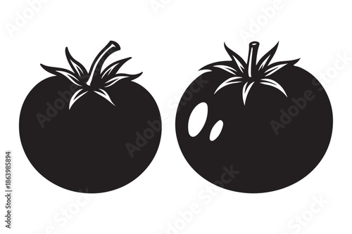 vector illustration of tomato