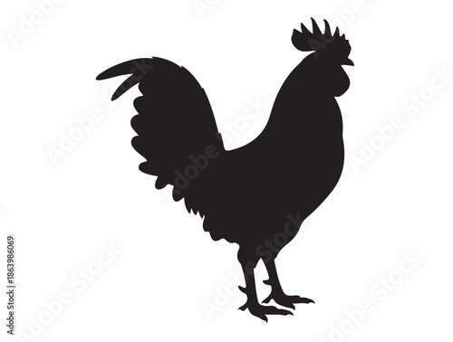 Rooster in silhouette white background.