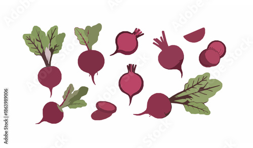 Flat cartoon spinach leaves and seedlings vector collection for growing kit and healthy food concept