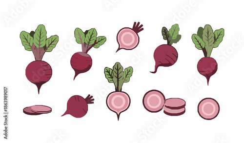 Fresh green spinach leaves flat vector set for healthy food and growing kit concept isolated on white